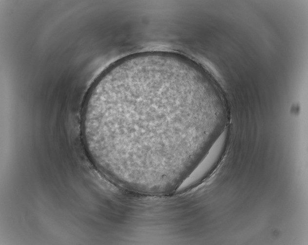 X0000091511212200709141348