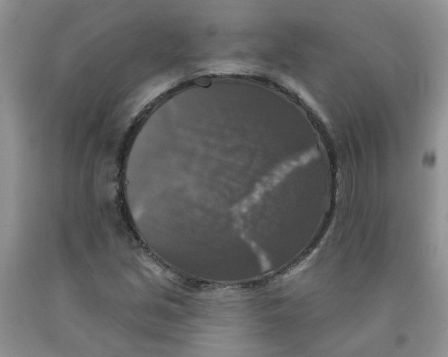 X0000091511213200709141348