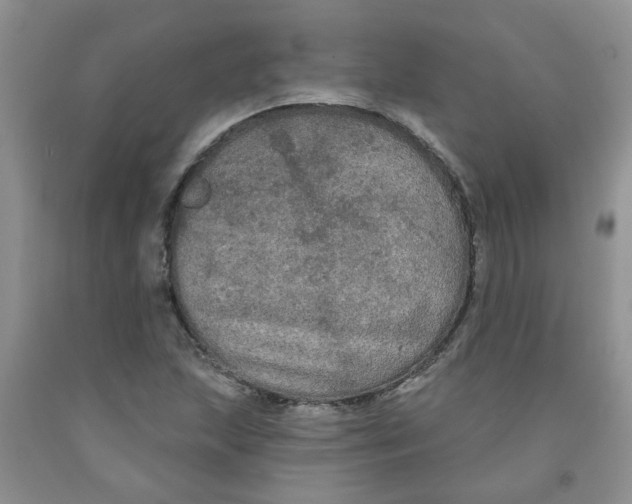 X0000091511215200709141348