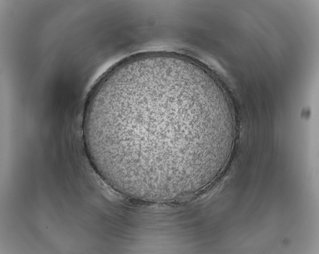 X0000091511216200709141348