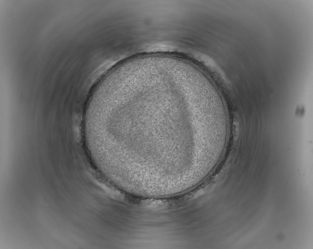 X0000091511217200709141348