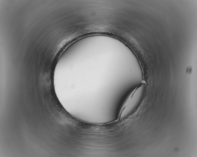 X0000091511218200709141348