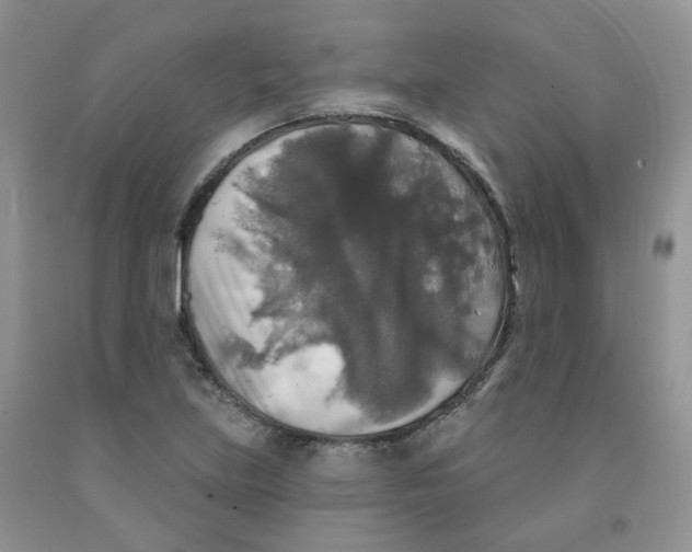 X0000091511219200709141348