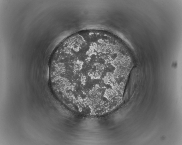 X0000091511221200709141348