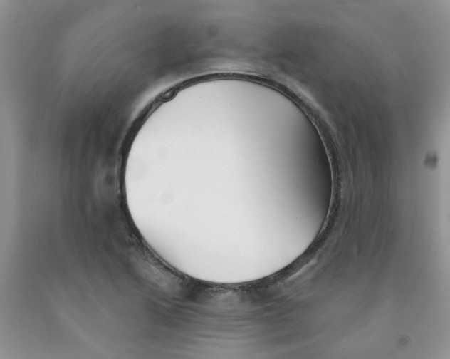 X0000091511222200709141348