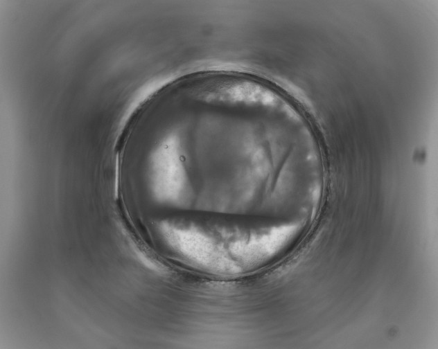 X0000091511223200709141348