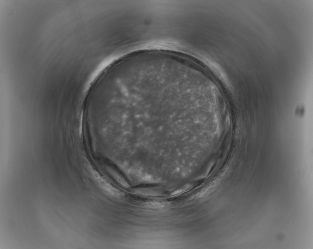 X0000091511224200709141348