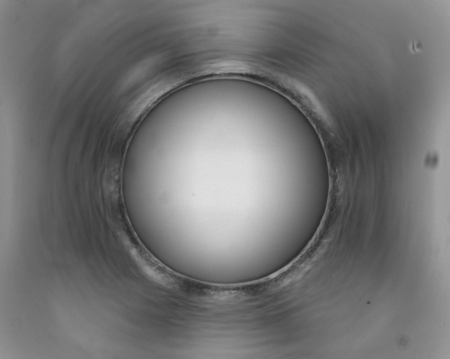 X0000091511225200709141348