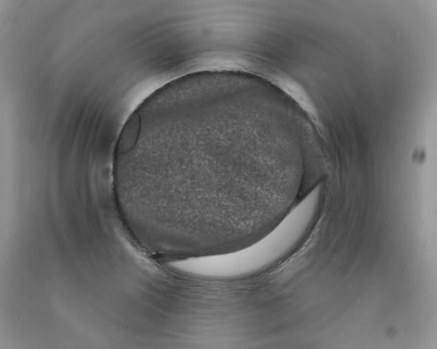 X0000091511226200709141348