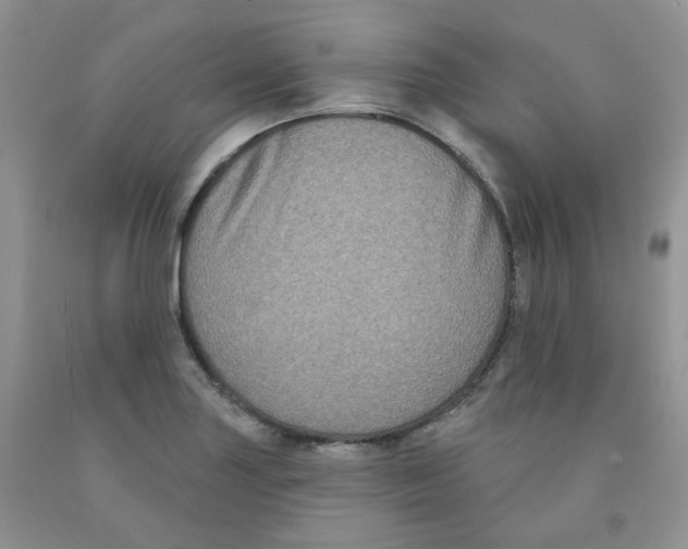 X0000091511227200709141348