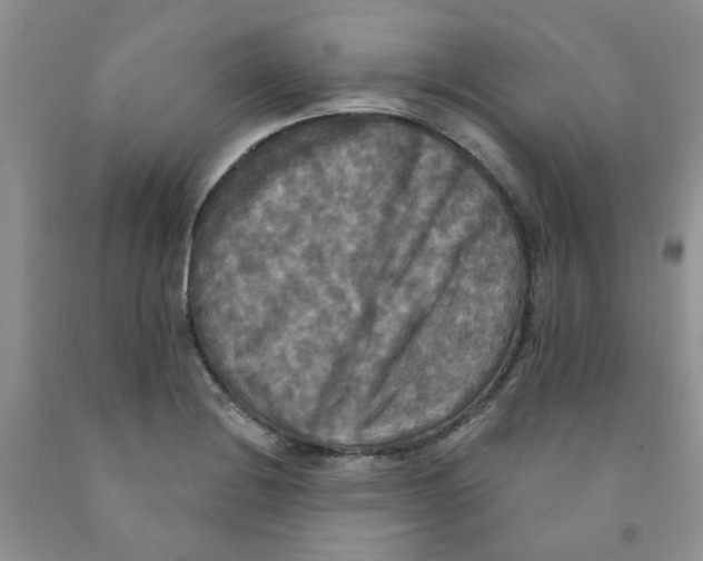 X0000091511228200709141348