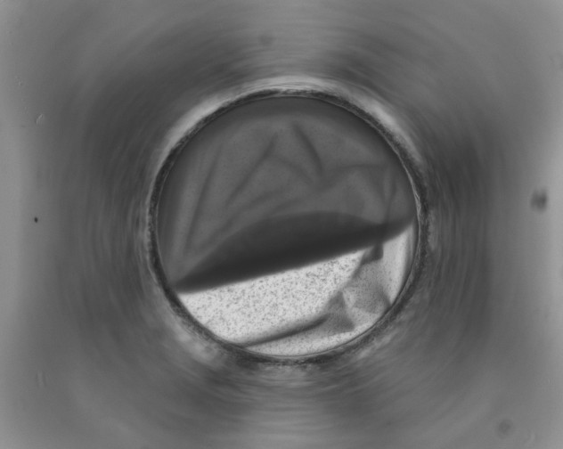 X0000091511229200709141348