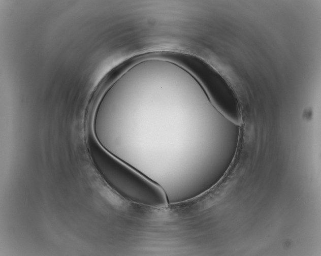 X0000091511230200709141348