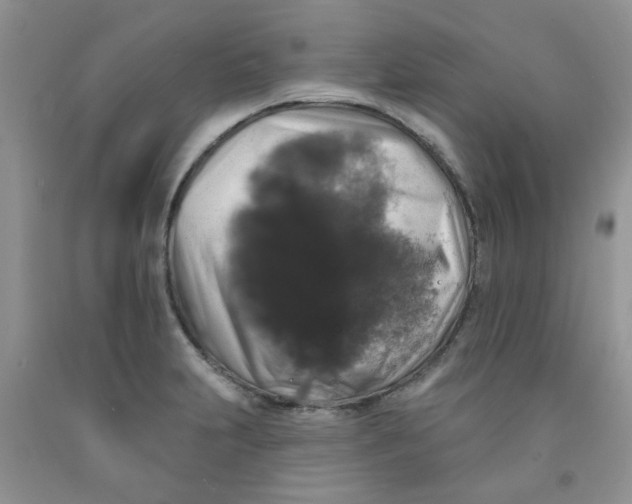 X0000091511231200709141348