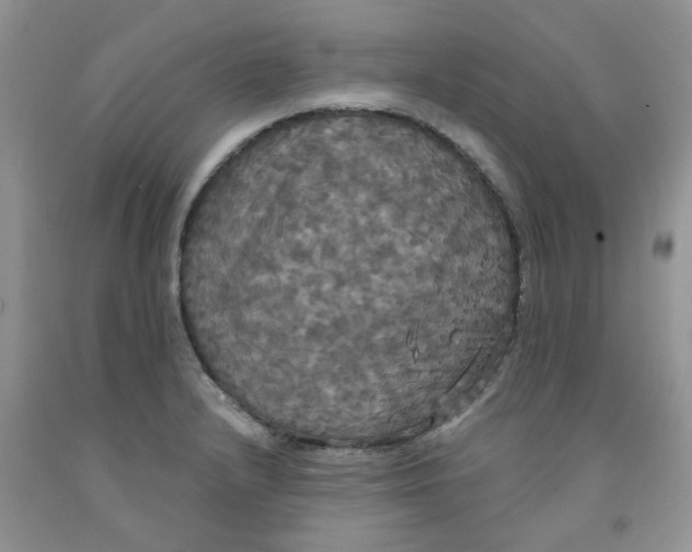 X0000091511232200709141348