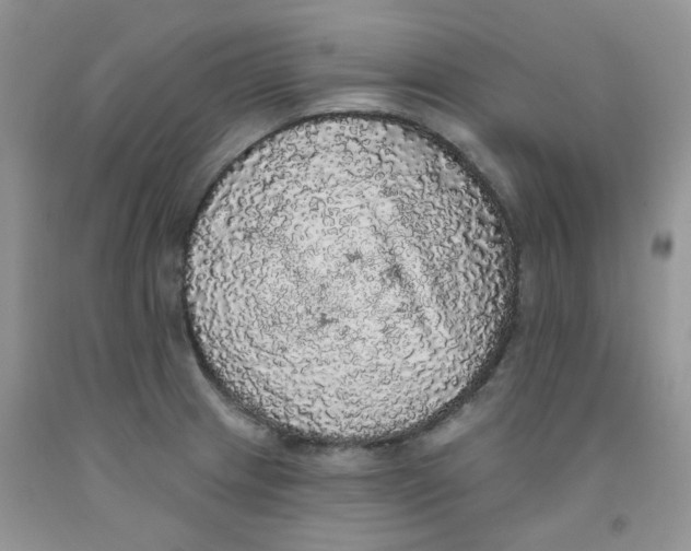 X0000091511233200709141348