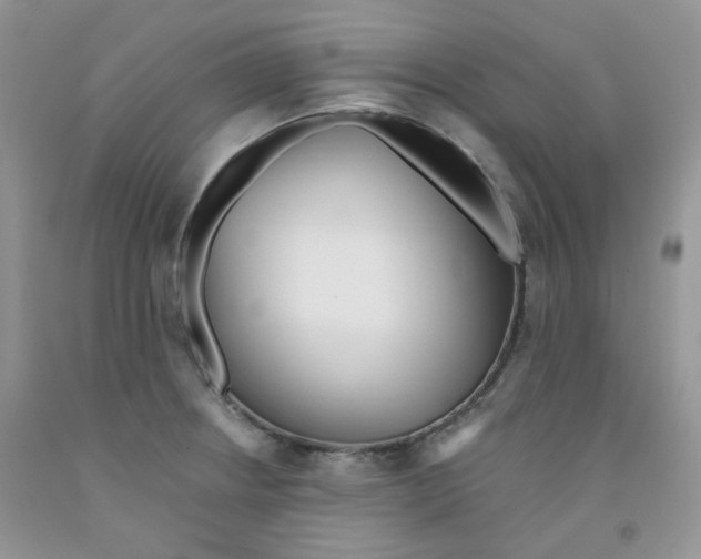 X0000091511234200709141348