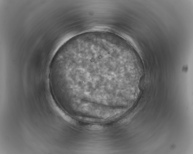 X0000091511235200709141348