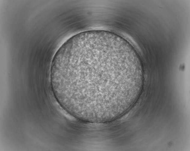 X0000091511236200709141348