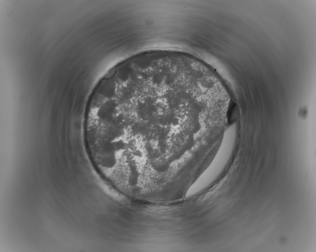 X0000091511237200709141348