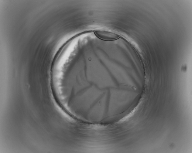 X0000091511239200709141348