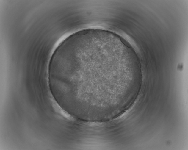 X0000091511240200709141348