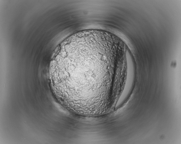 X0000091511241200709141348