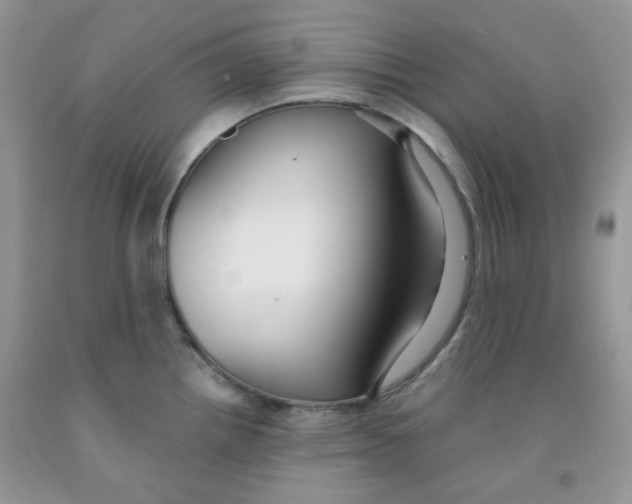 X0000091511242200709141348