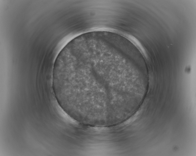 X0000091511244200709141348