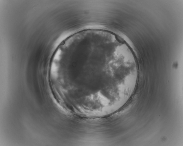 X0000091511245200709141348