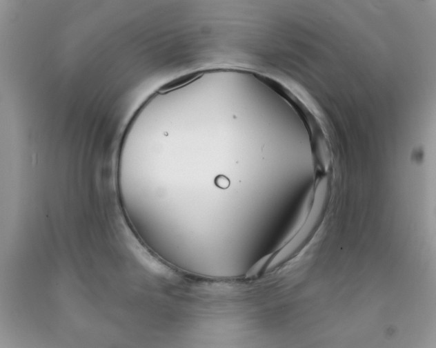 X0000091511246200709141348