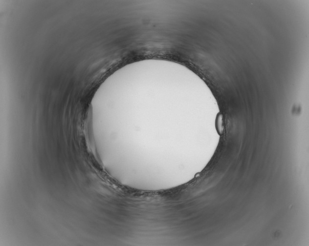 X0000091511250200709141348