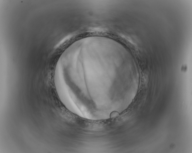 X0000091511254200709141348