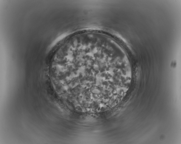 X0000091511255200709141348