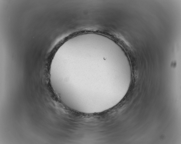 X0000091511256200709141348