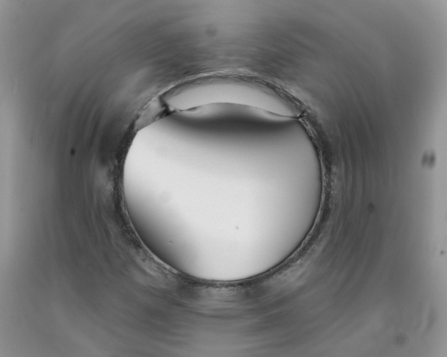 X0000091511257200709141348