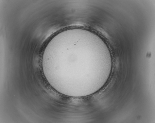 X0000091511258200709141348