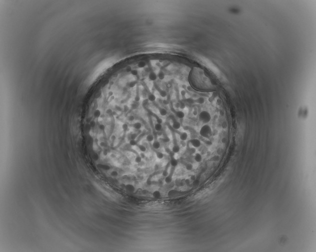 X0000091511259200709141348