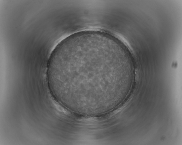 X0000091511260200709141348