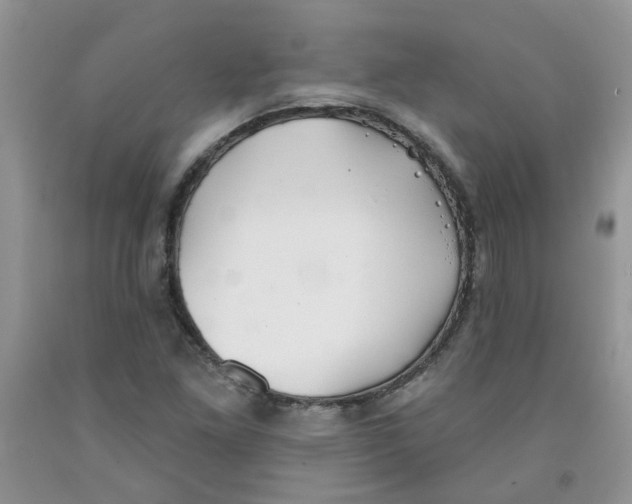 X0000091511261200709141348