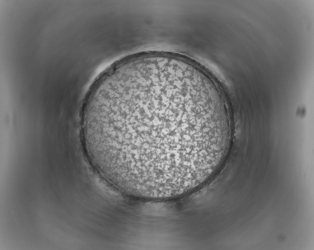 X0000091511264200709141348