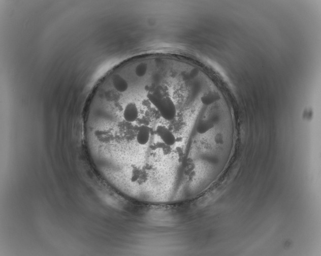 X0000091511267200709141348