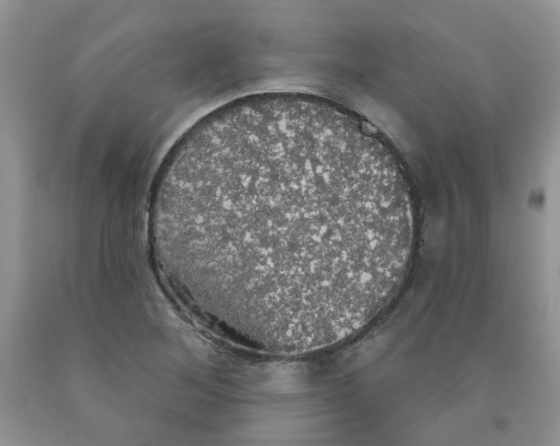 X0000091511268200709141348