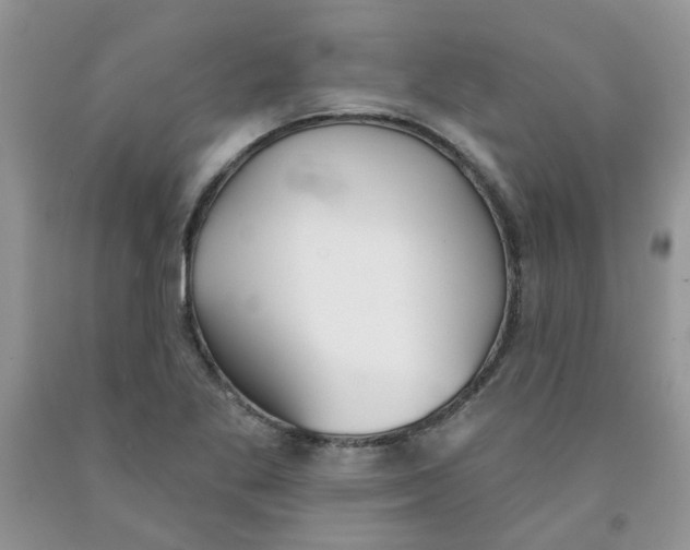 X0000091511269200709141348