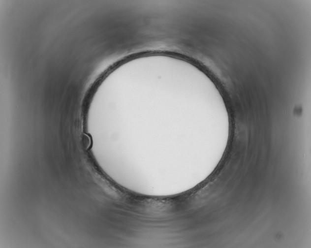 X0000091511270200709141348