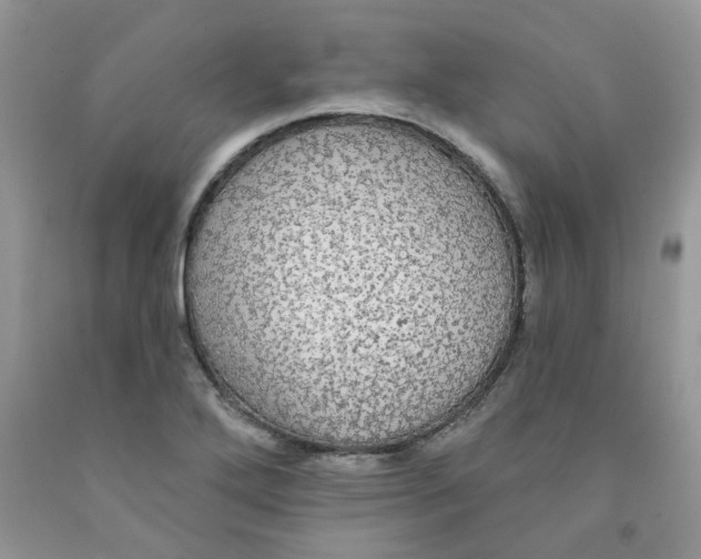 X0000091511272200709141348