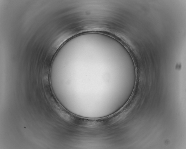 X0000091511273200709141348