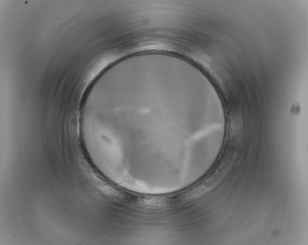 X0000091511274200709141348