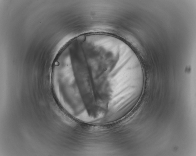 X0000091511275200709141348