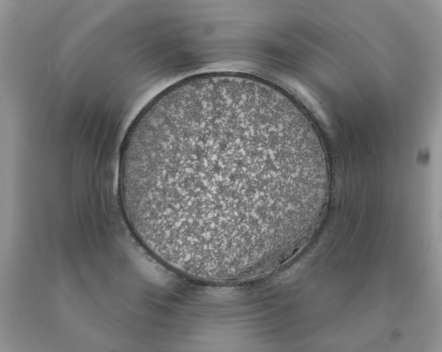 X0000091511276200709141348